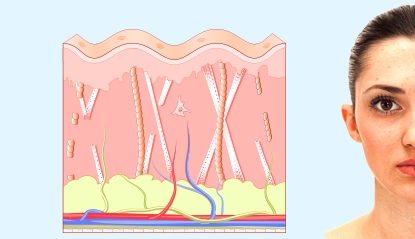 Skin Care Science